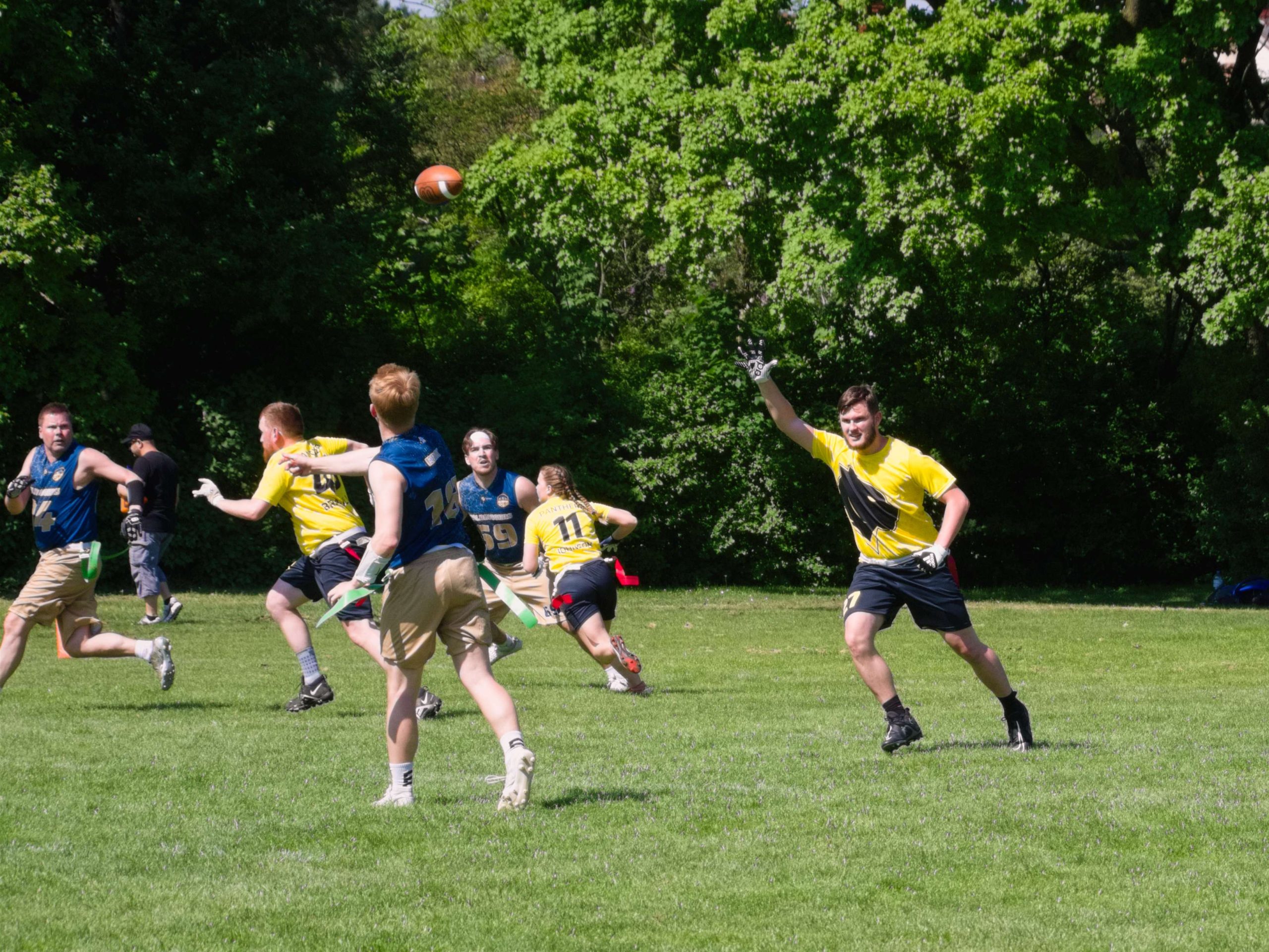 20250501145254_P_5010150