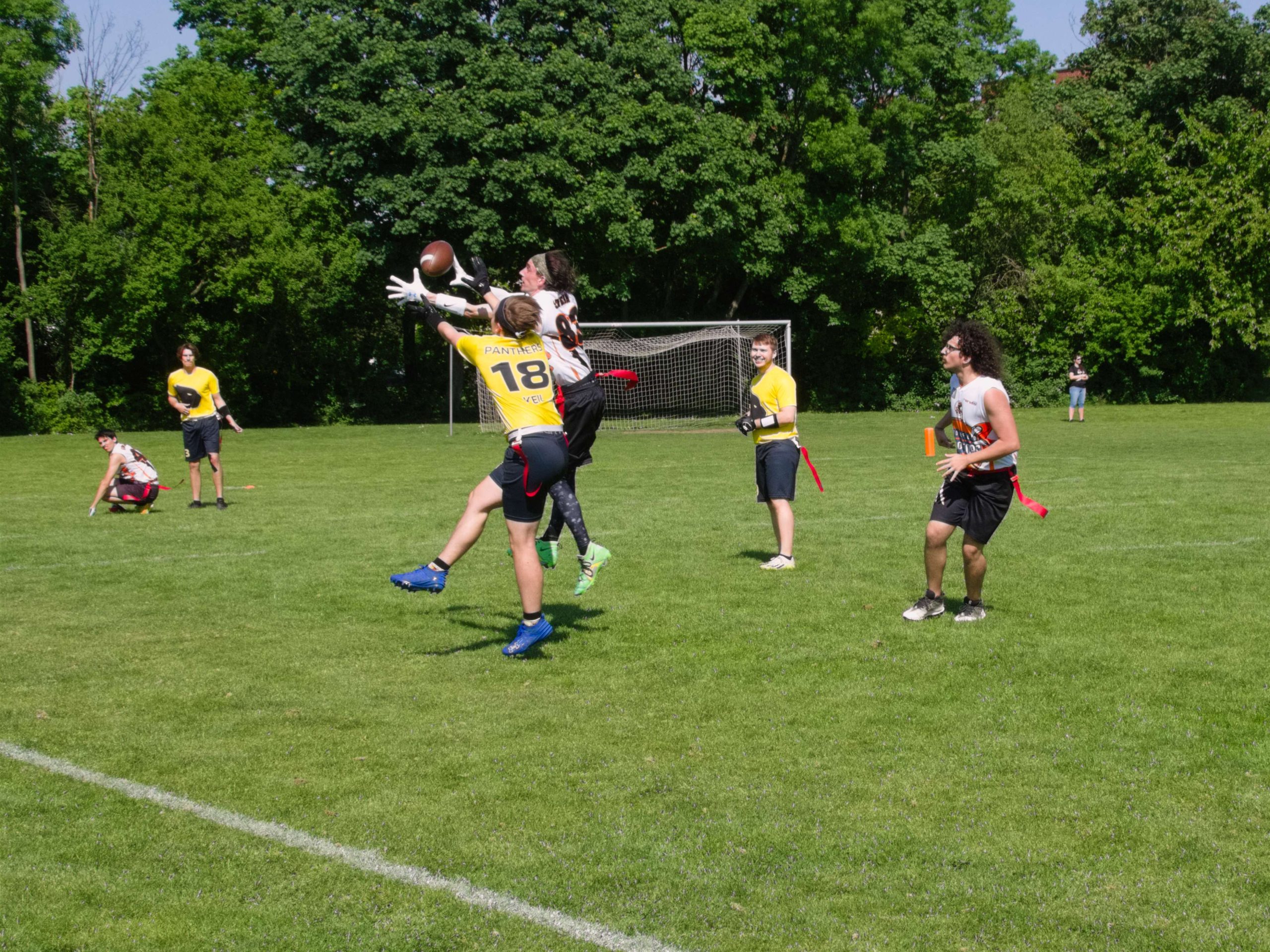 20250501152943_P_5010240