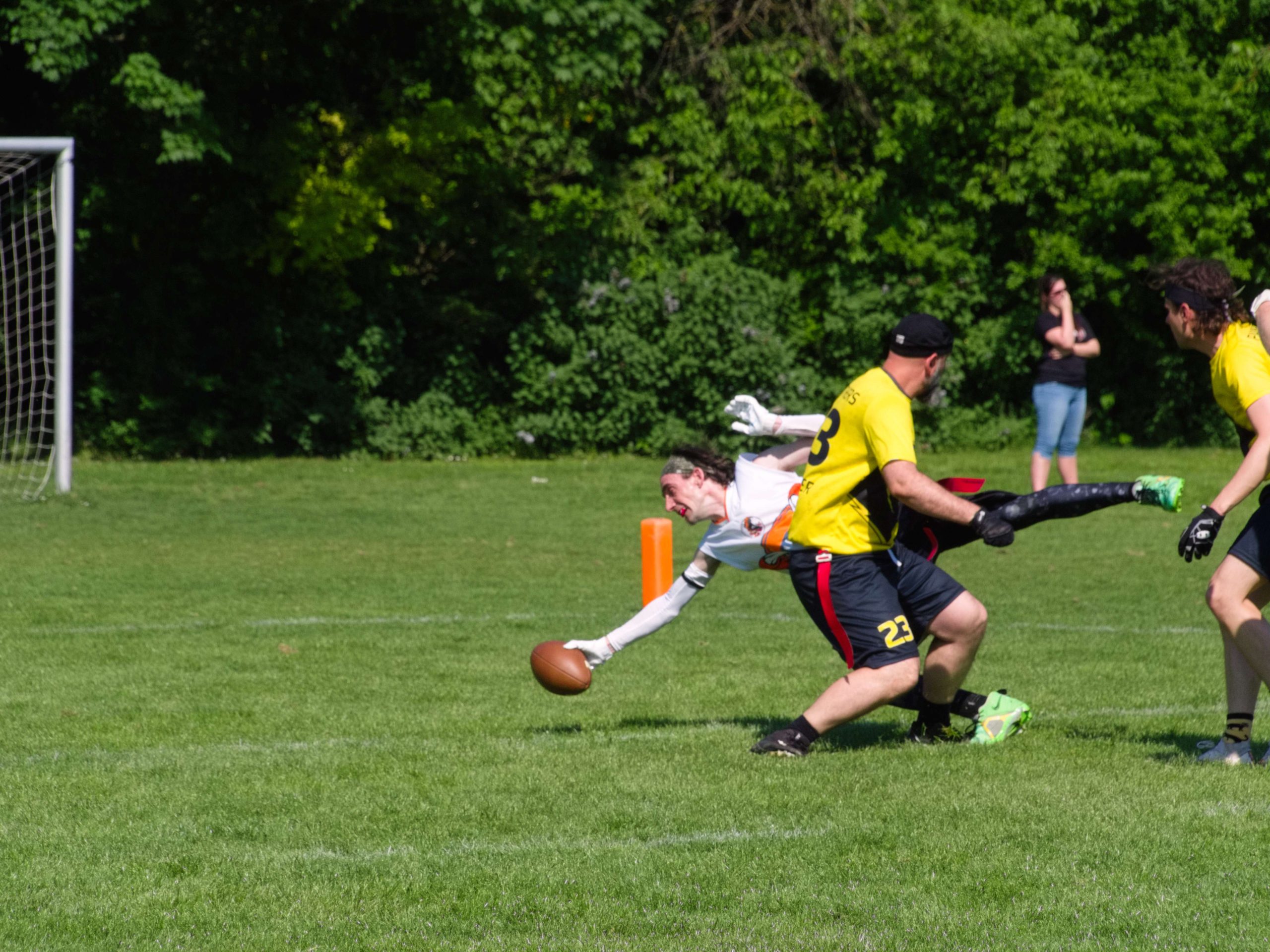 20250501153312_P_5010262