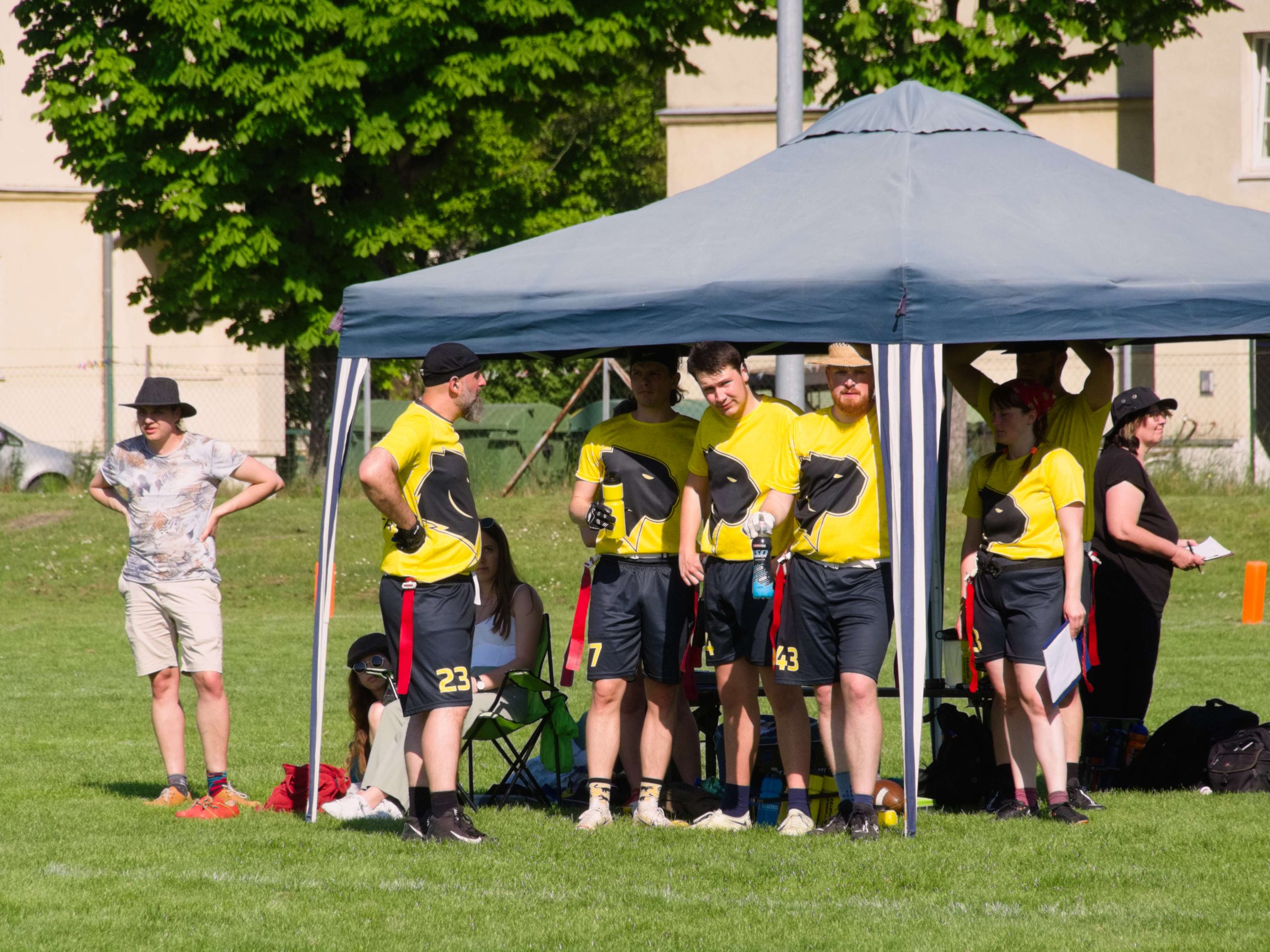 20250501160339_P_5010311